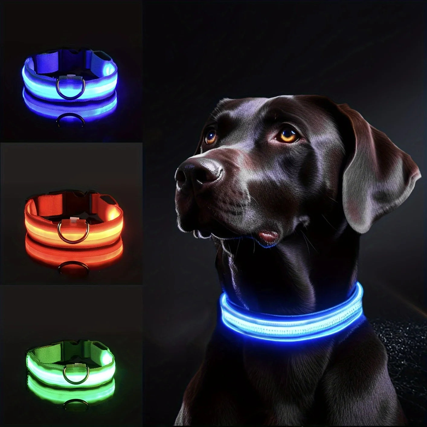 Paws GlowSafe™ LED Reflective Dog Collar